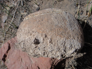DSC03270_调整大小_调整大小.JPG