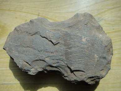 DSC03287_调整大小_调整大小.JPG