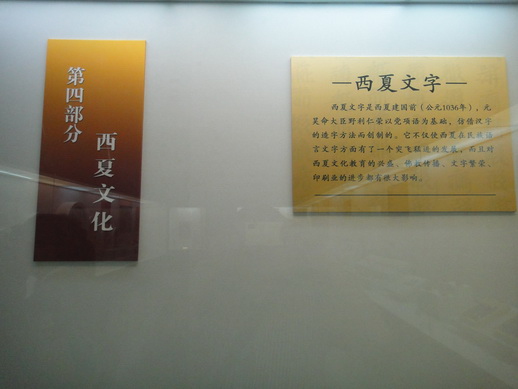 DSC06077_调整大小.JPG