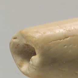 0贝壳珠子 (8.71 cm) 2700–2600 B.C.jpg