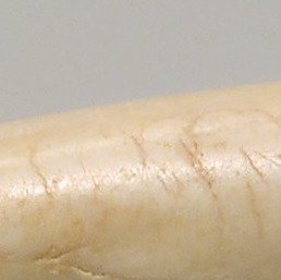 0贝壳珠子 (8.71 cm) 2700–2600 B.C.(2)2_0 (1).jpg