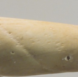 0贝壳珠子 (8.71 cm) 2700–2600 B.C.(2)5_0.jpg