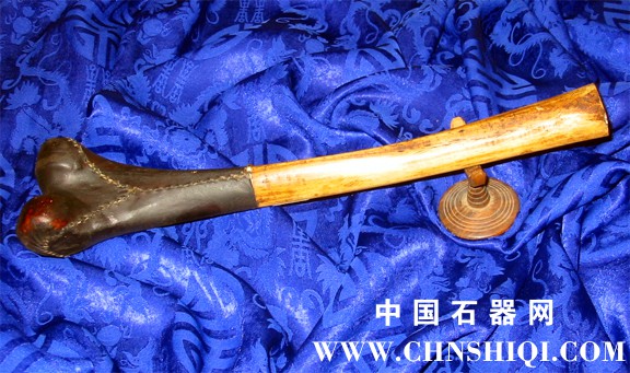 Photo1570.KanglingHumanLegTrumpetblk使人类大腿骨， '精神唤起'小号被称.jpg