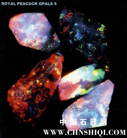 phoca_thumb_l_five_royal_peacock_opals.jpg