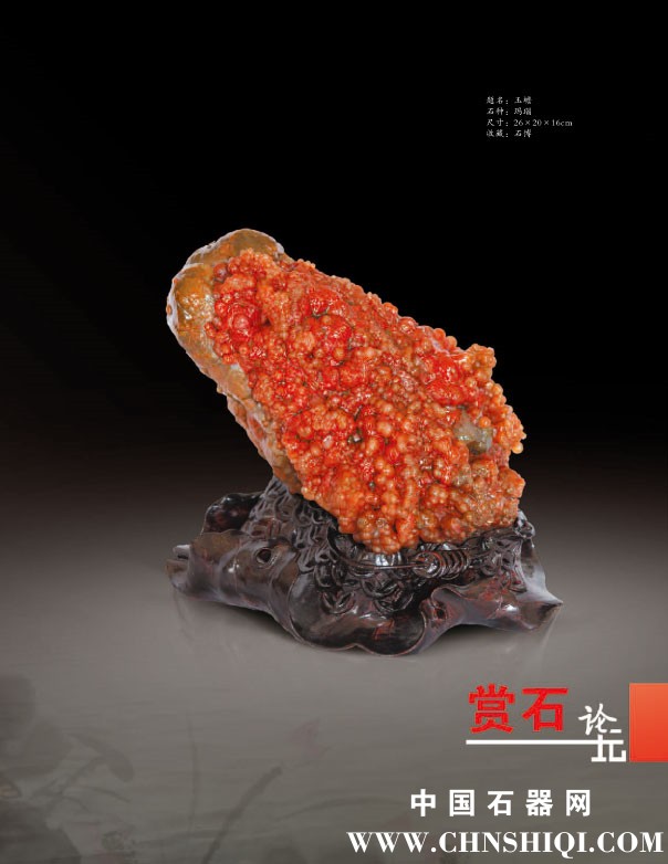 《中国赏石》2014年第一辑封面7.jpg