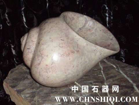 aphro sculpture snail1.jpg