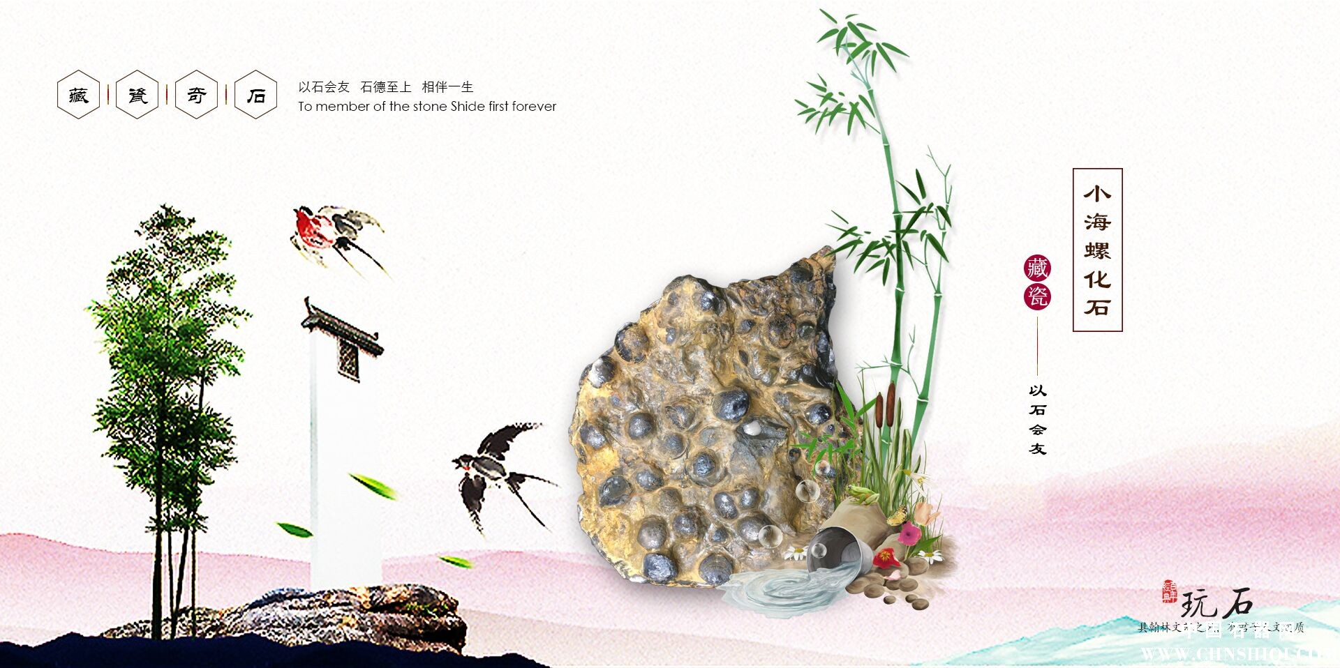 小海螺化石38.jpg