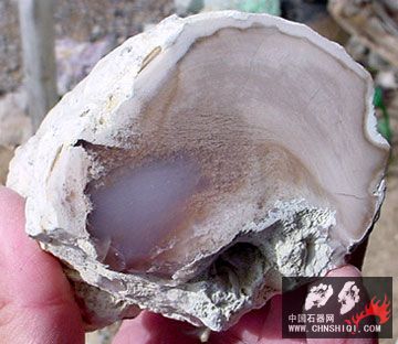 Texas Springs Rose Quartz Petrified Wood 2.jpg