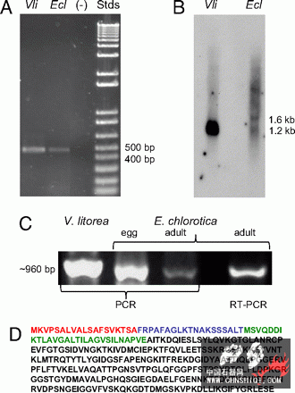 基因横向转移电泳 PCR资料.gif