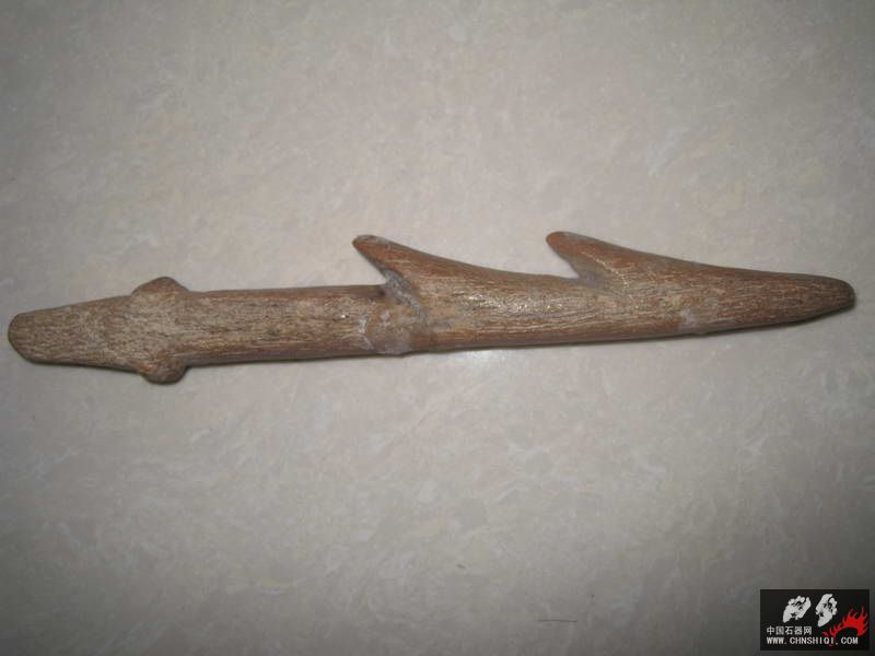 化石骨器 (11).JPG