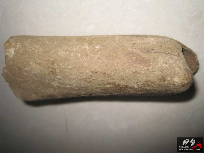 化石骨器 (7).JPG