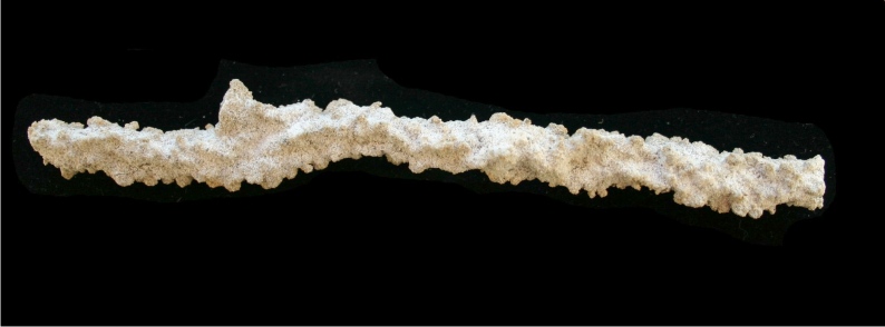 Fulgurite Extra Long! 6英寸.jpg