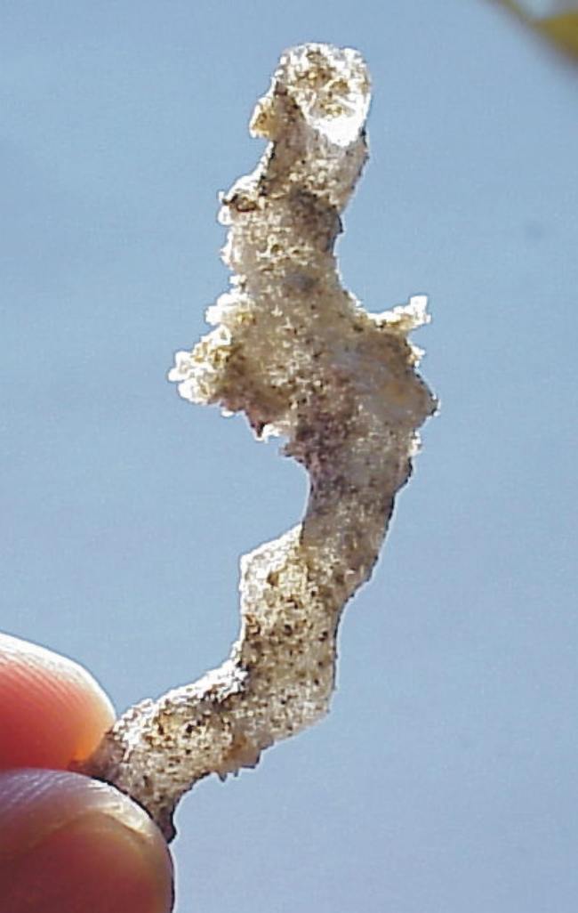 Authentic Fulgurite Lightning Sand.jpg