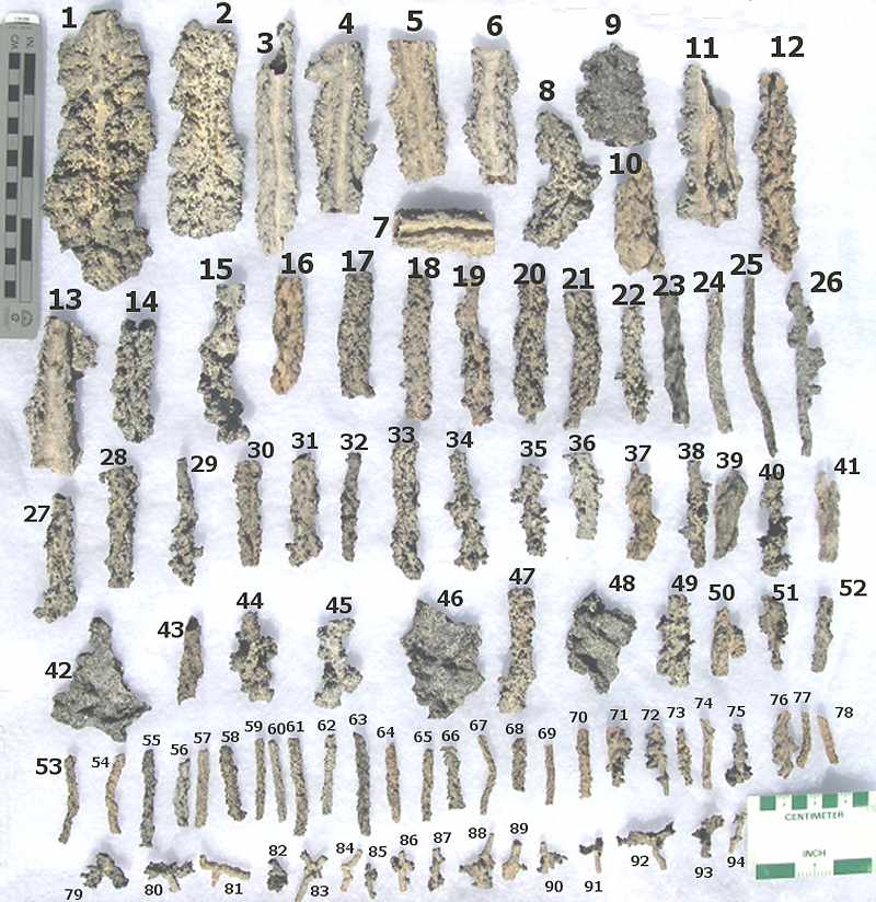 Sahara and Libyan Deserts1  httpwww.tektitesource.comFulgurites.html.jpg