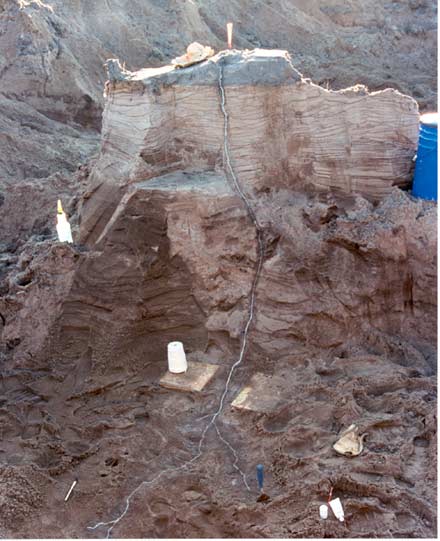 The world's largest excavated fulgurite.jpg