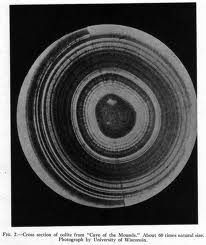 Cross section ofcalcin oolite.jpg