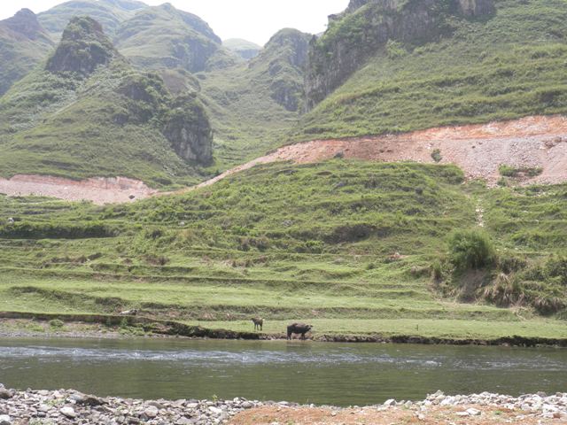 潮水寻石 (2).JPG