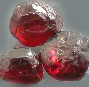 Pak-Garnet-16.jpg