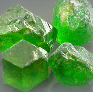 Pak-Garnet-11.jpg