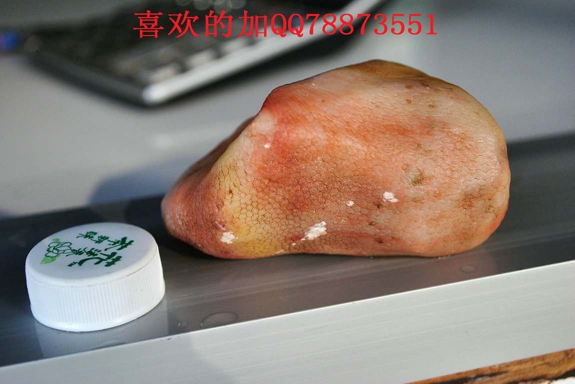 照片 1057.jpg