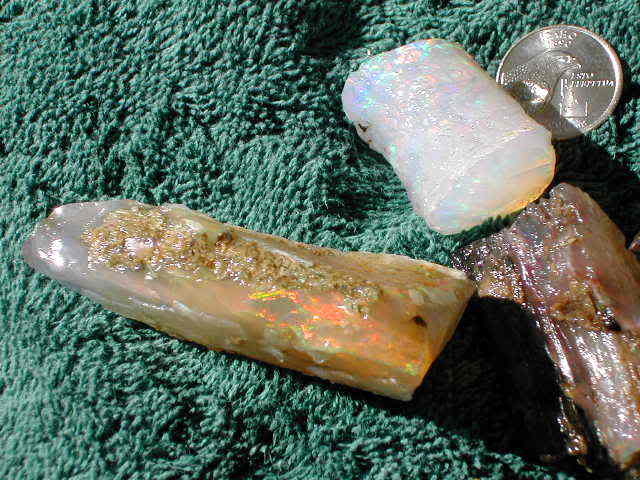 Petrified Wood replaced by precious fire opal, Virgin Valley, Nevada2.jpg