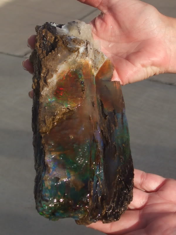 Petrified Wood replaced with Precious Fire Opal..jpg